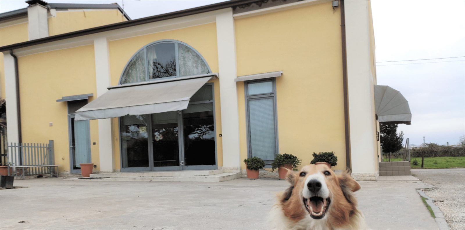 La facciata su strada &ndash; Clinica Veterinaria Rigo