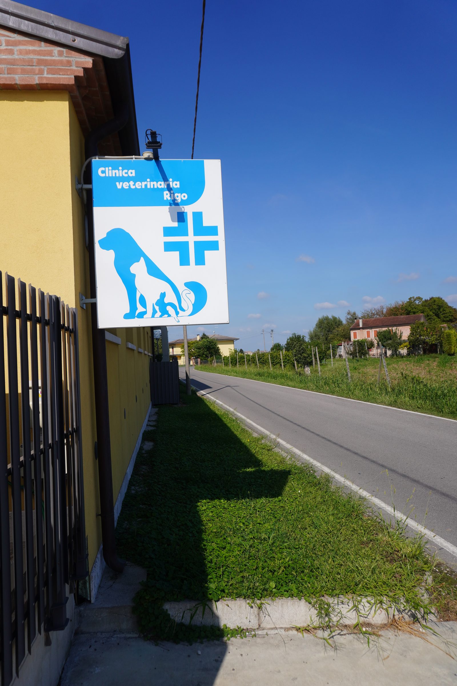 L'insegna dalla strada – Clinica Veterinaria Rigo, Villa Bartolomea