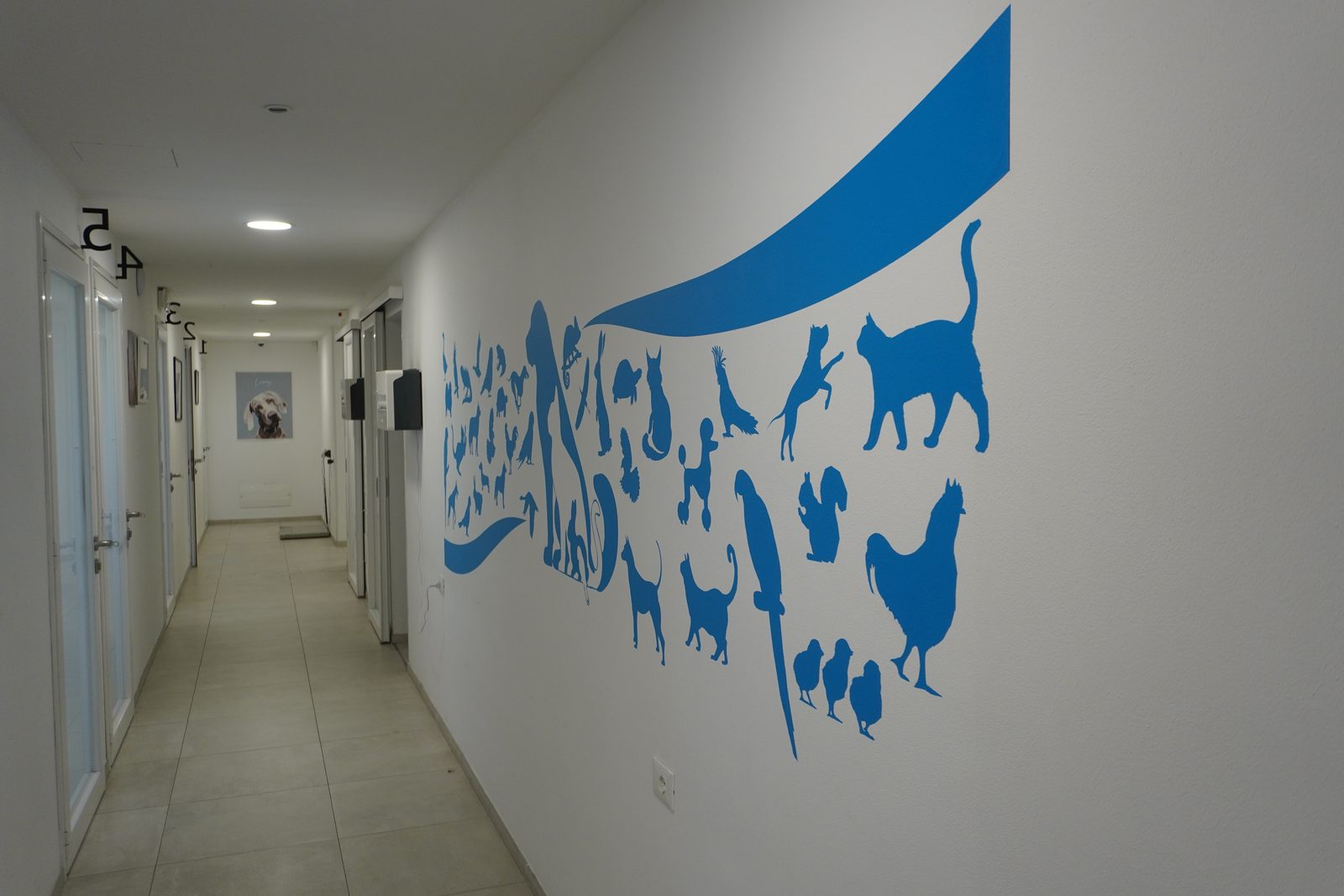 Il corridoio verso le sale visita – Clinica Veterinaria Rigo