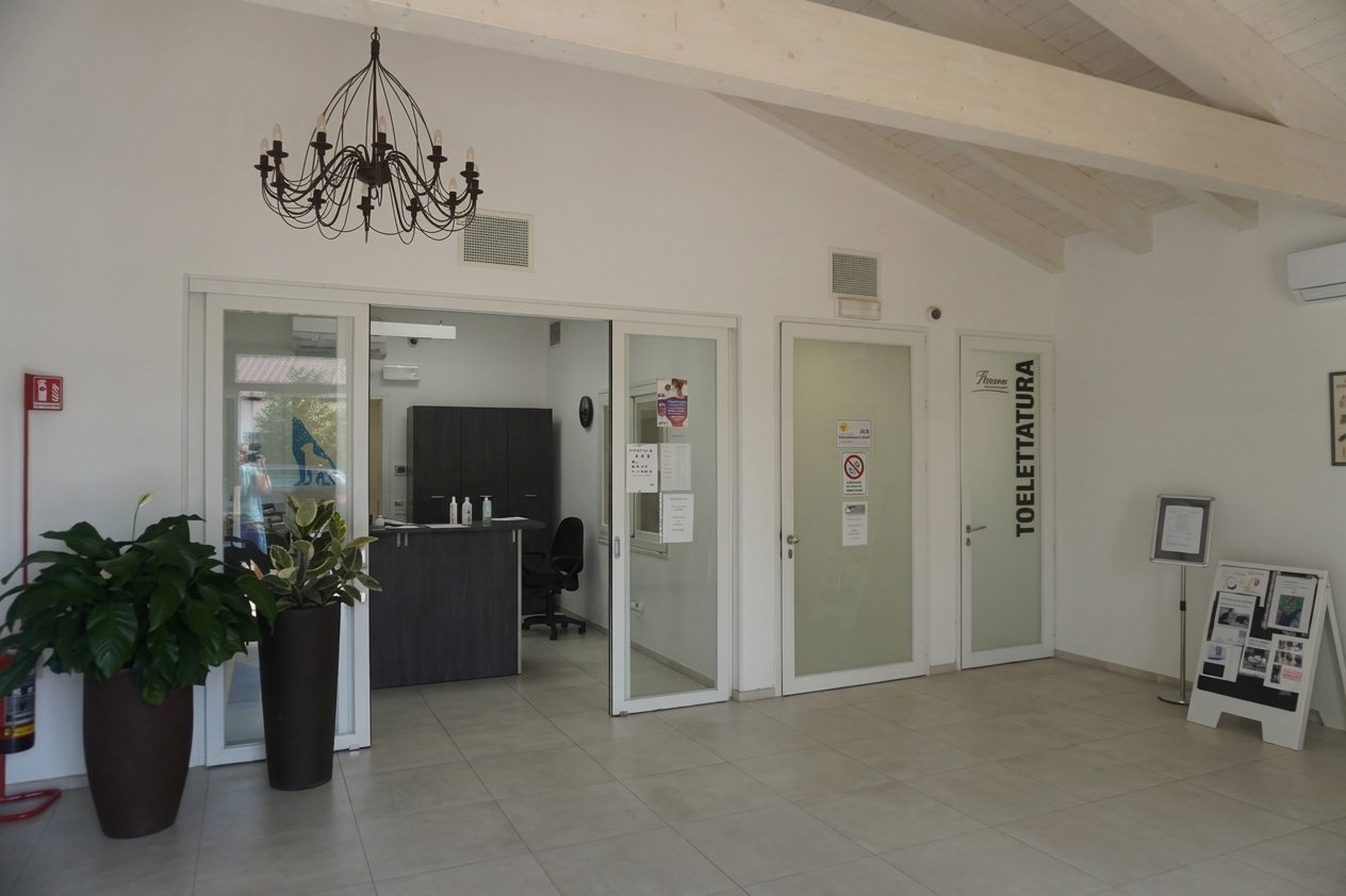 L'ingresso e la segreteria – Clinica Veterinaria Rigo